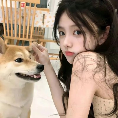 逆命貔貅它是只猫